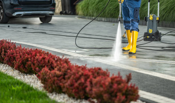 Best Deck Cleaning Services  in Felida, WA