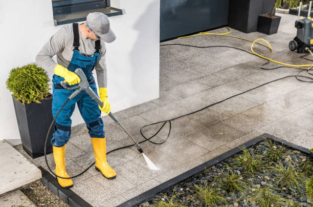  Felida, WA Pressure Washing Pros