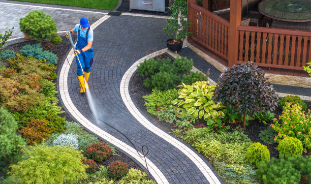 Best House Pressure Washing  in Felida, WA