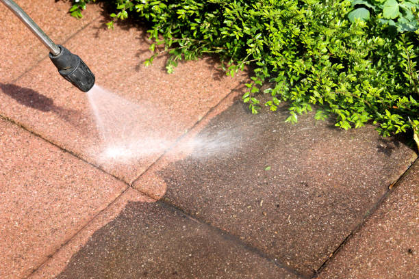 Best Deck Cleaning Services  in Felida, WA